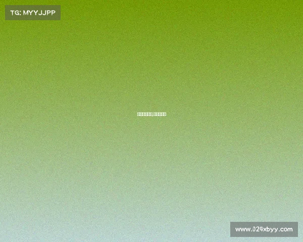 城市成熟赛事,城市赛官网